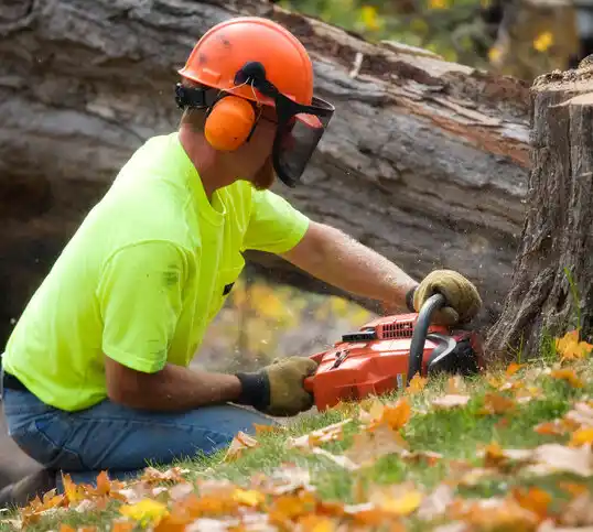 tree services Franklin